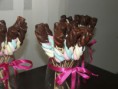 Espeto Marshmallon com chocolate